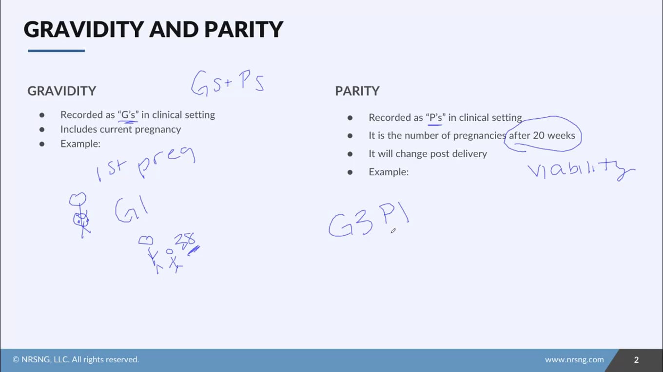 Gravidity and Parity (G&Ps, GTPAL) - NURSING.com